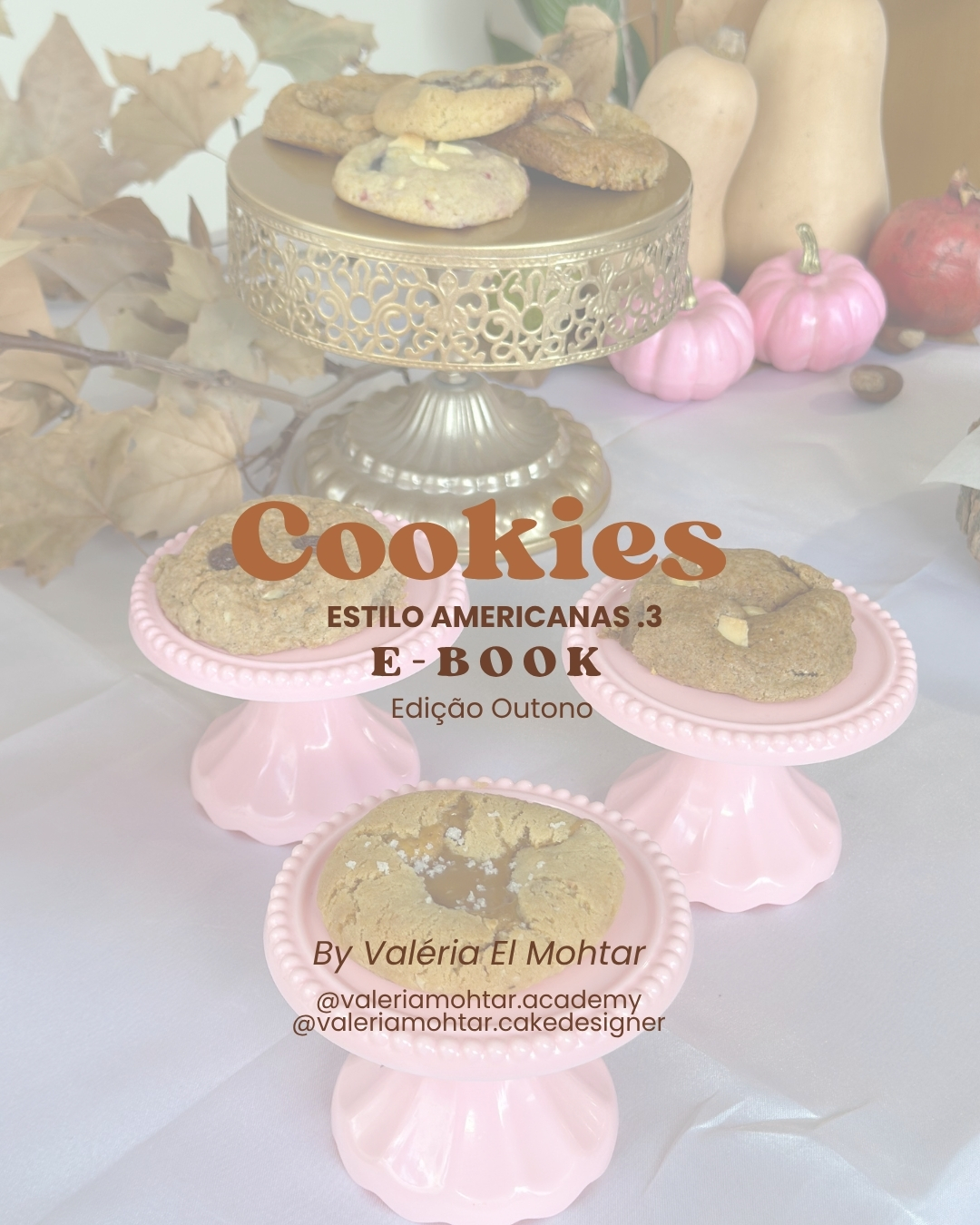 Ebook